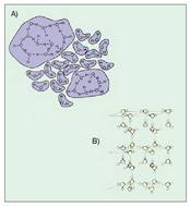 5. Irudia: Molekula multzoak ur isurkarian (A) eta izotzean (B).<br><br>